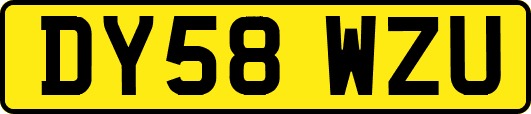 DY58WZU