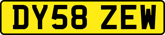 DY58ZEW