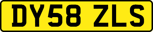 DY58ZLS