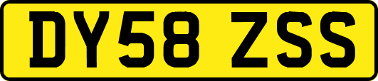 DY58ZSS
