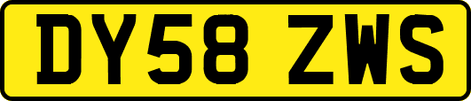 DY58ZWS