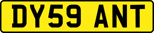 DY59ANT