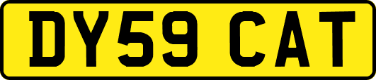 DY59CAT