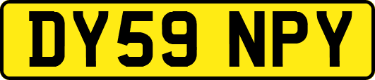 DY59NPY