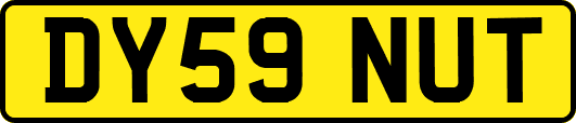 DY59NUT