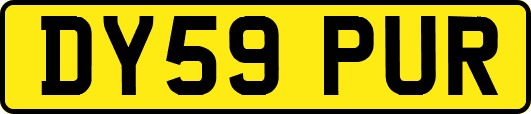 DY59PUR