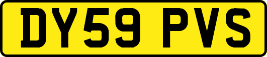 DY59PVS