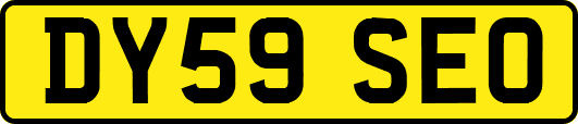 DY59SEO