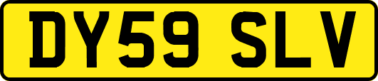 DY59SLV