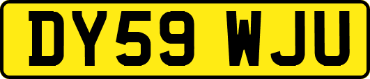 DY59WJU