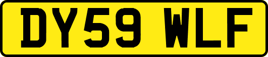 DY59WLF