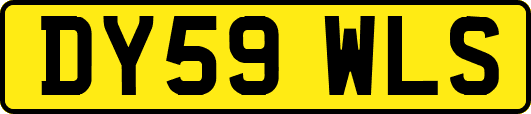DY59WLS