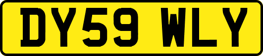 DY59WLY