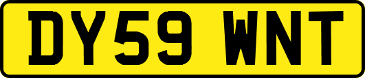 DY59WNT