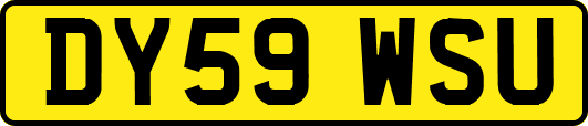 DY59WSU