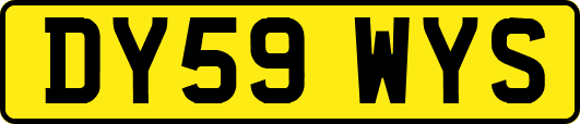 DY59WYS