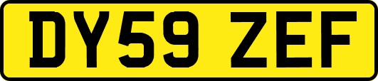 DY59ZEF