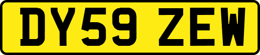 DY59ZEW