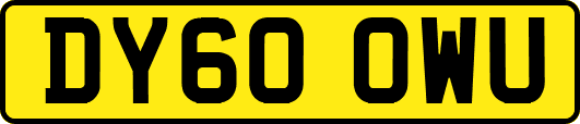 DY60OWU