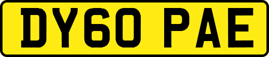 DY60PAE