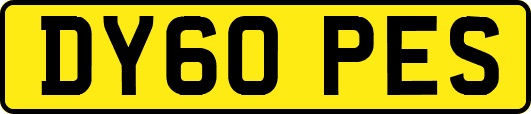 DY60PES