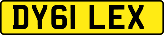 DY61LEX