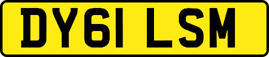DY61LSM