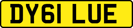 DY61LUE