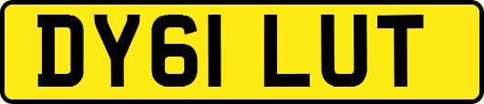 DY61LUT