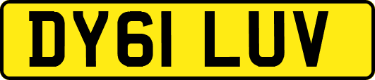DY61LUV