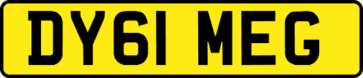 DY61MEG