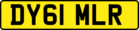 DY61MLR
