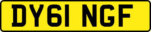 DY61NGF