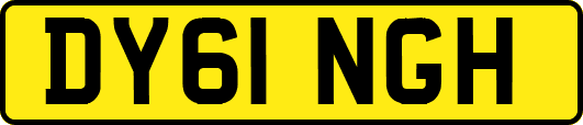 DY61NGH
