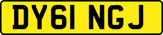 DY61NGJ
