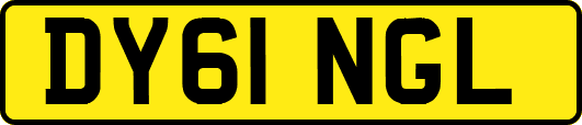 DY61NGL