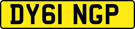 DY61NGP