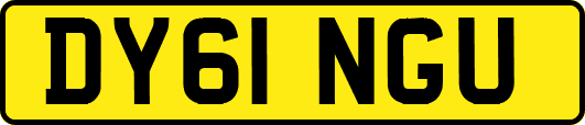 DY61NGU