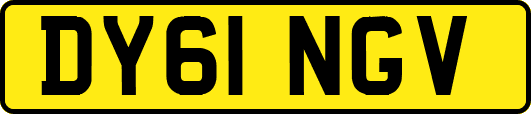 DY61NGV