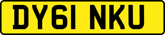 DY61NKU