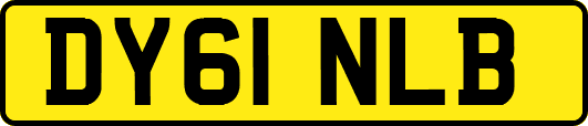 DY61NLB