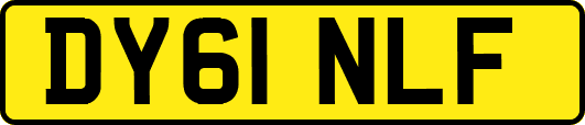 DY61NLF