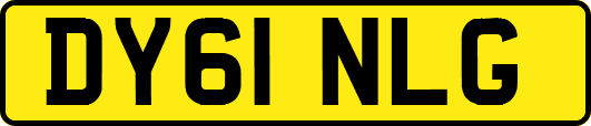 DY61NLG