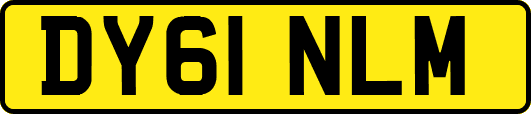 DY61NLM