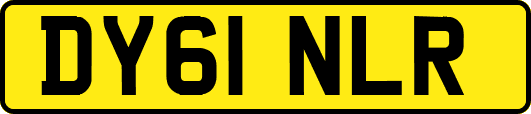 DY61NLR