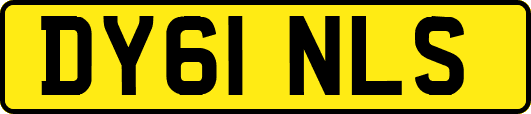 DY61NLS