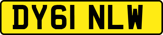 DY61NLW