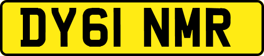DY61NMR