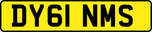DY61NMS