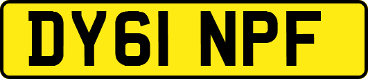DY61NPF